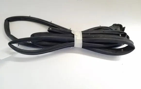 Nissan Juke I F15 Front door rubber seal 
