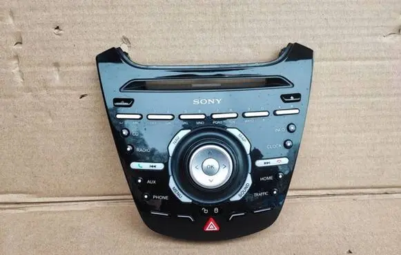 Ford Ecosport Head unit multimedia control FN1T18K811TA