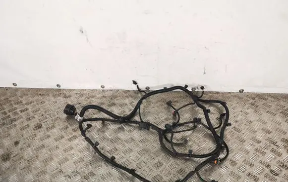 Peugeot 508 Parking sensor (PDC) wiring loom 9819031180