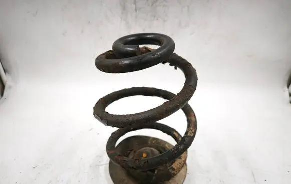 BMW 3 E46 Rear coil spring