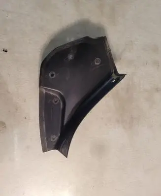 Rear/tail light trim molding