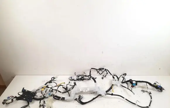 Toyota RAV 4 (XA50) Panel wiring 8214942050 821414BE50