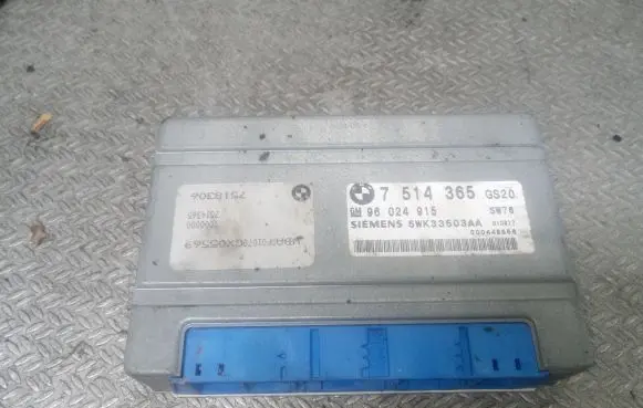 BMW 5 E39 Gearbox control unit/module 7514365 96024915