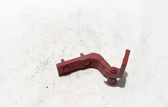 Rear door lower hinge