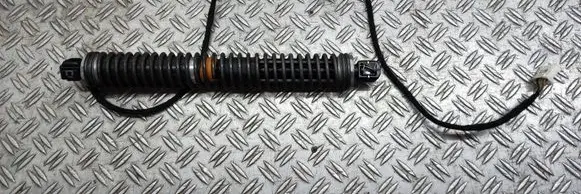 Tailgate/trunk strut/damper