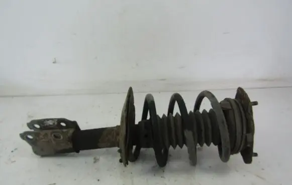 Chevrolet Trans Sport Front shock absorber/damper 