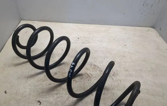 Rear coil spring
