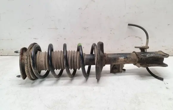 Suzuki Grand Vitara II Front shock absorber with coil spring 4160165J00