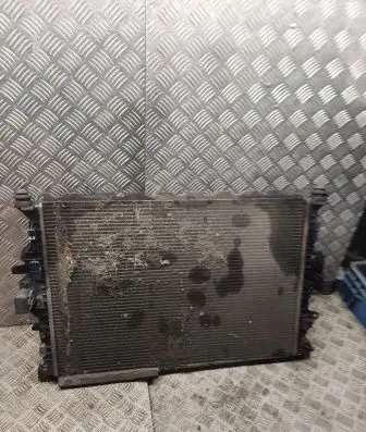 Ford S-MAX Coolant radiator