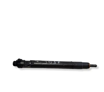 Citroen C5 Fuel injector 9686191080
