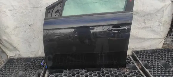 Fiat Bravo Front door 