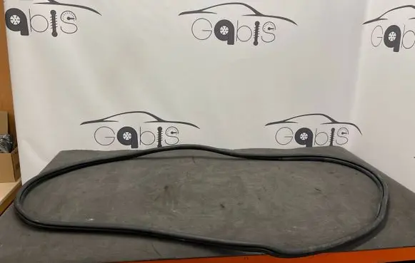 BMW 2 F46 Rear door rubber seal (on body) 7316818