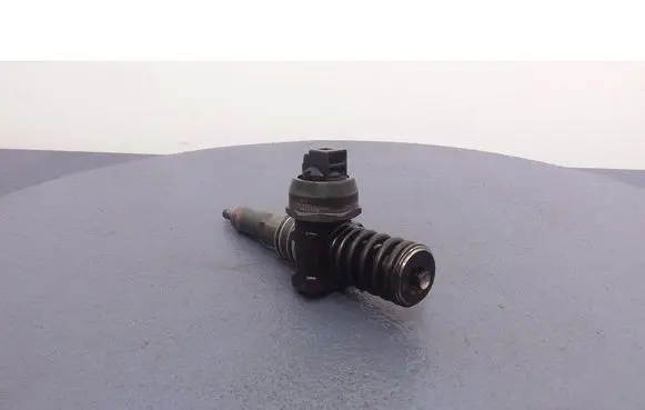 Skoda Octavia Mk2 (1Z) Fuel injector 03813007BN