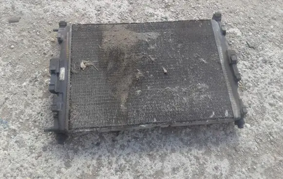 Renault Scenic II - Grand scenic II Coolant radiator 8200115542