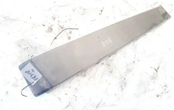 Renault Scenic II - Grand scenic II Other front door trim element 8200139600