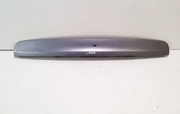 Trunk door license plate light bar