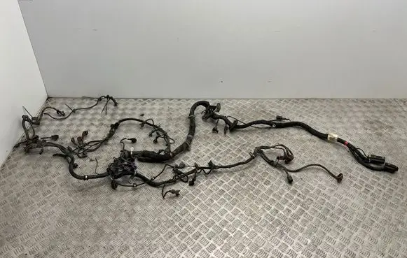 Maserati Quattroporte Other wiring loom 212171 100105 D1S212171