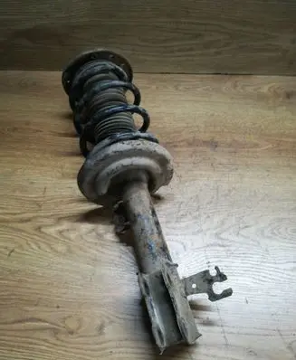 Opel Signum Front shock absorber with coil spring