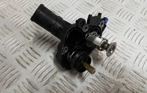 Citroen C3 Thermostat/thermostat housing 9675949380 28996S