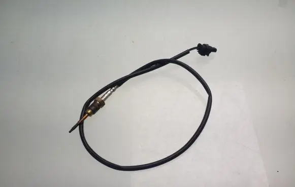 Exhaust gas temperature sensor
