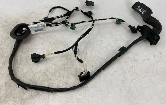 Volkswagen Jetta USA Rear door wiring loom 17A971693F