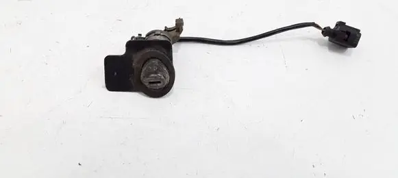 Volkswagen PASSAT B5.5 Tailgate exterior lock 