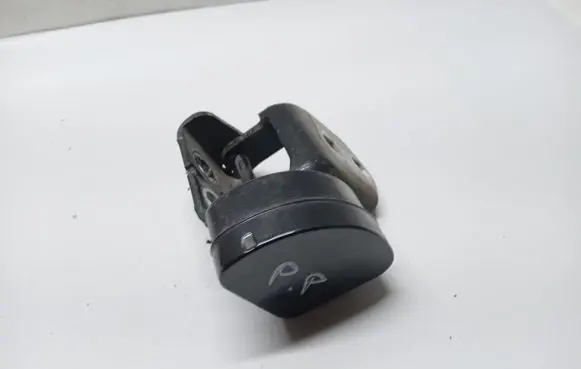 Renault Megane II Front door hinge set 