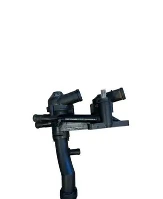 Thermostat/thermostat housing
