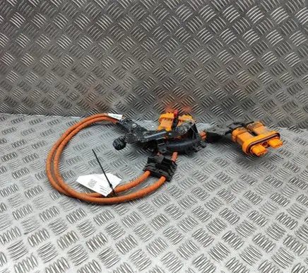 Skoda Enyaq iV Other wiring loom 1EA971015T 1EA015V1