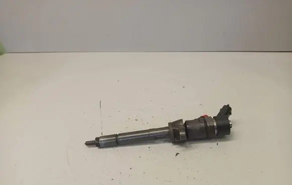 Citroen Berlingo Fuel injector 0445110239