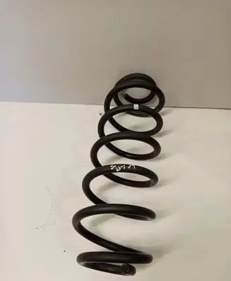 Rear coil spring