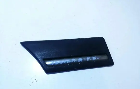 Fender trim (molding)
