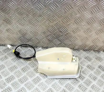 Tesla Model 3 Rear door lock 106897000L