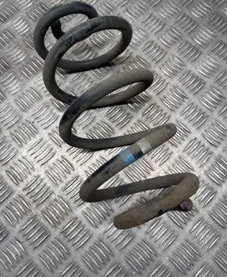 Nissan Qashqai Rear coil spring 