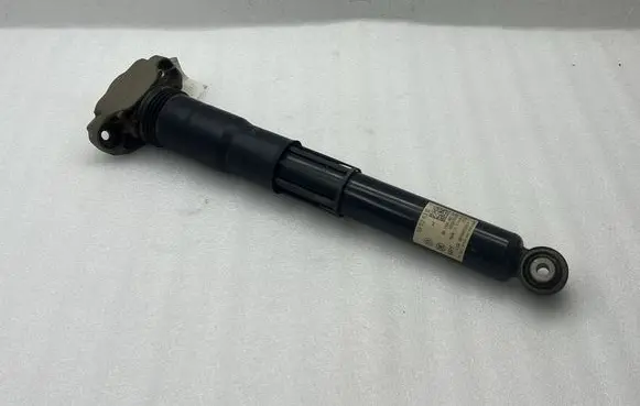 Volkswagen ID.4 Rear shock absorber/damper 1EA512013BC