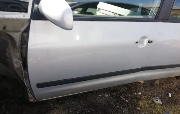 Seat Alhambra (Mk1) Front door LB7Z