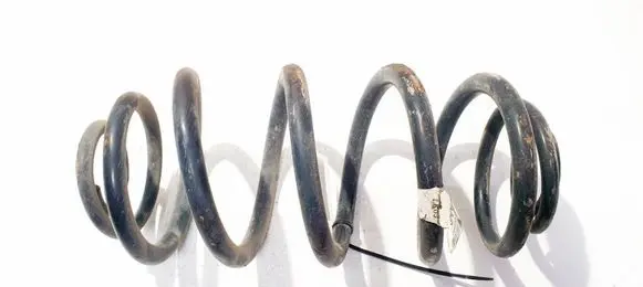 Rear coil spring