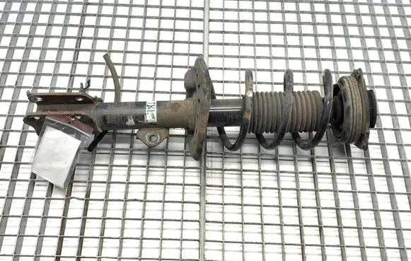 Nissan Juke I F15 Front shock absorber/damper