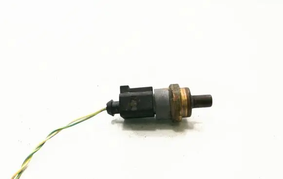 Audi A8 S8 D3 4E Coolant temperature sensor 06A919501A