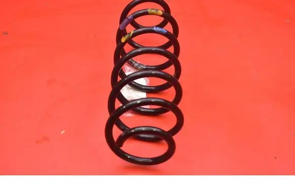 Rear coil spring