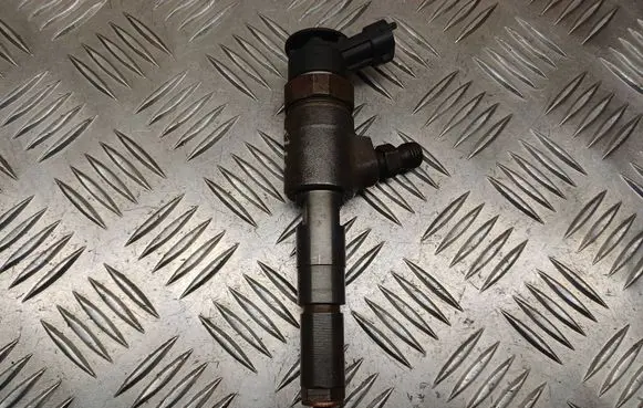 Citroen C3 Fuel injector 0445110252