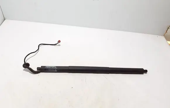 Ford S-MAX Tailgate strut EM2BR402A55AB