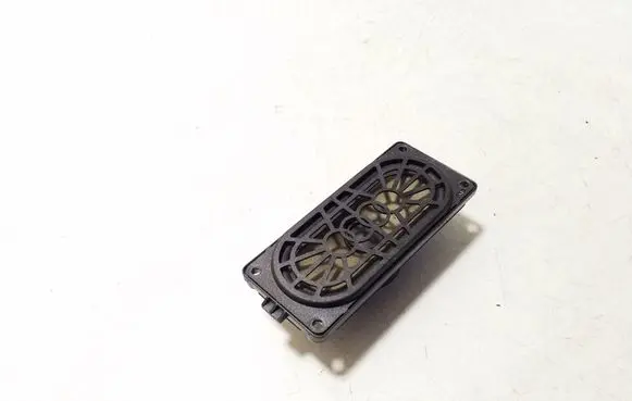 Panel speaker