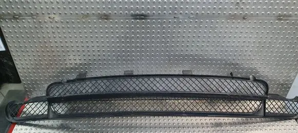 BMW 3 E46 Front bumper lower grill 2492213