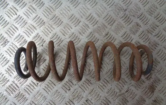 Rear coil spring
