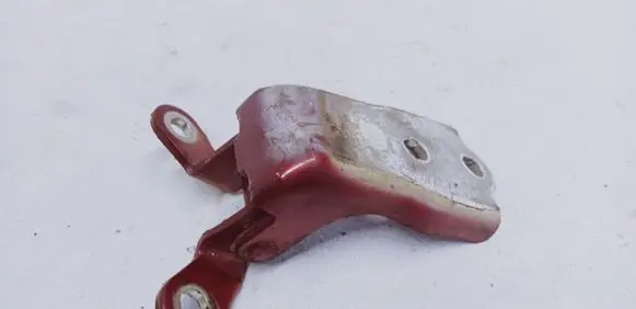 Chevrolet Captiva Front door lower hinge 