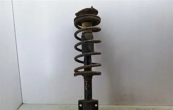 Citroen Jumper Front shock absorber with coil spring
