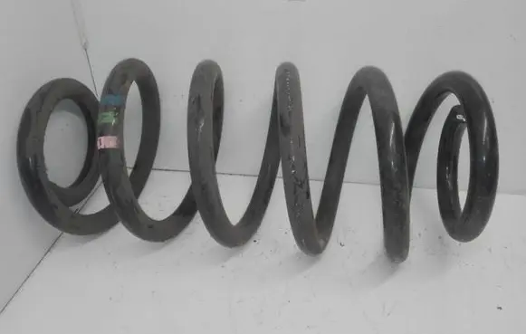 Front coil spring