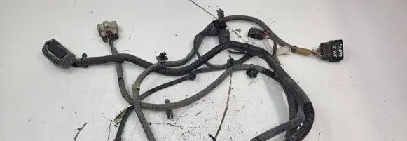 Tesla Model Y Other wiring loom 248905901A