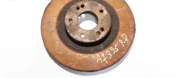 Hyundai Santa Fe Front brake disc ventiliuojamas